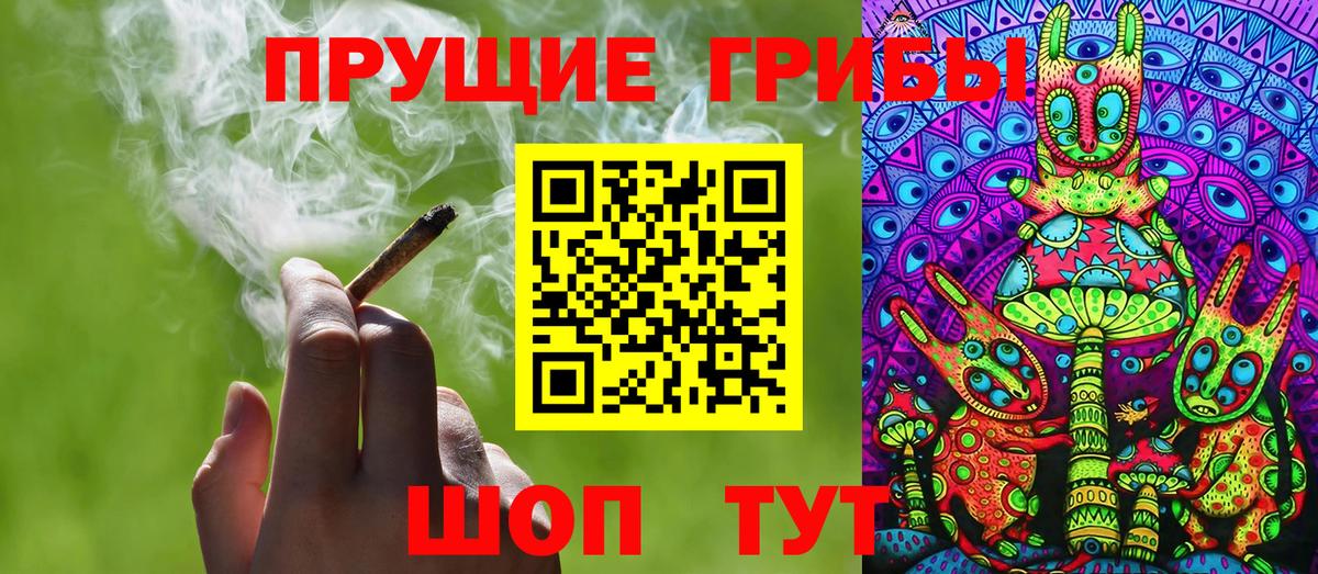 Новодвинск  Галлюциногенные грибы GOLDEN TEACHER  Псилоцибиновые грибы Cubensis  Вход с VPN 
